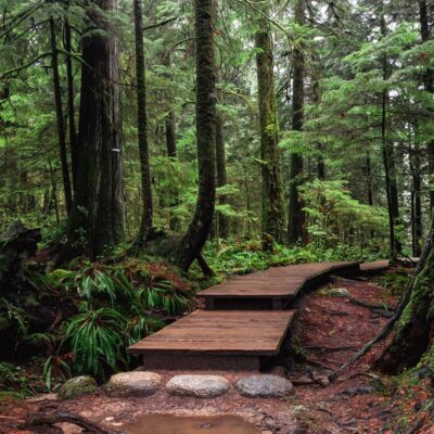 Lynn Valley Hikes